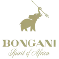 bongani cigars logo